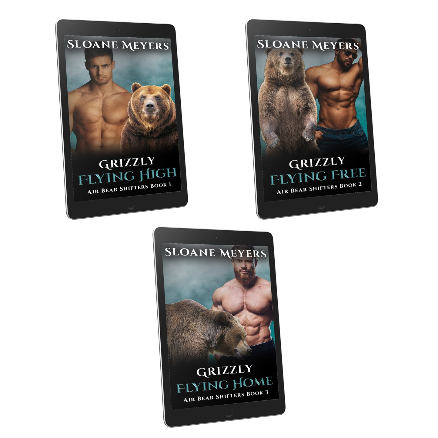 bear shifter romance dragon shifter romance paranormal romance book