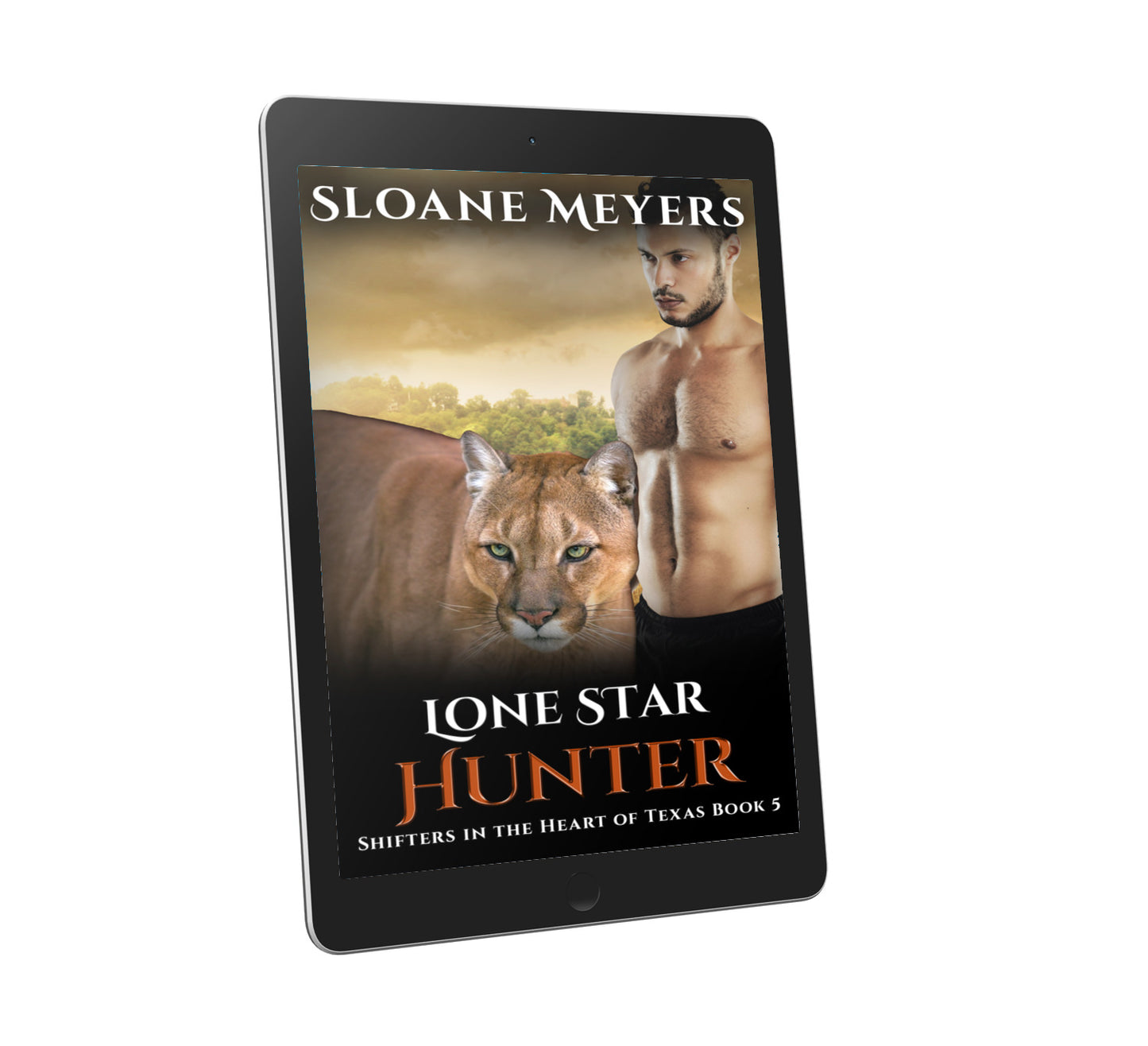 shifter romance paranormal romance book