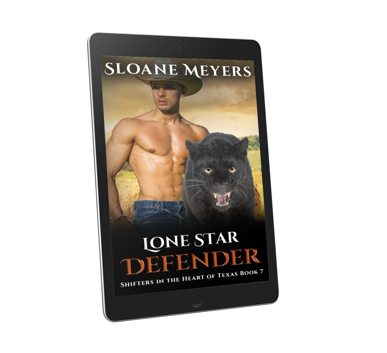 shifter romance paranormal romance book